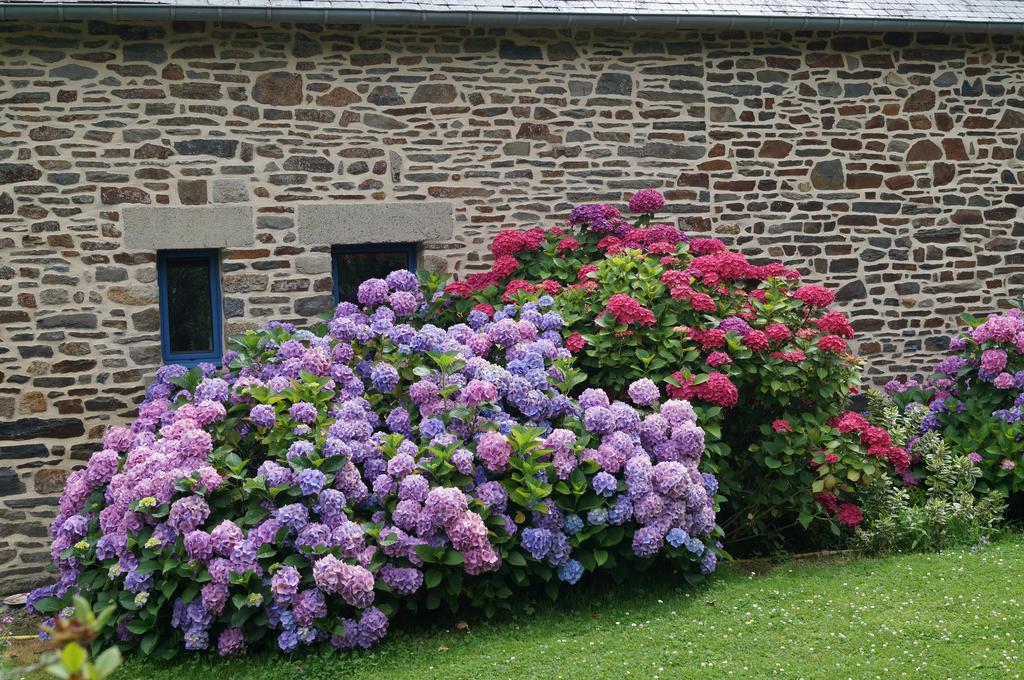 Chambres D'Hotes La Loubatais Dol-de-Bretagne Dış mekan fotoğraf